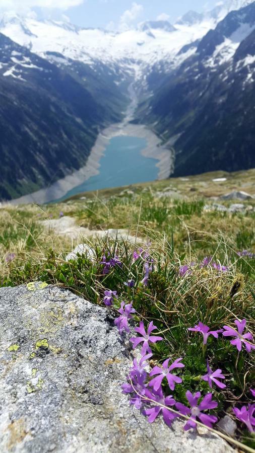 Hotel Pension Eichenhof Ried im Zillertal Eksteriør bilde